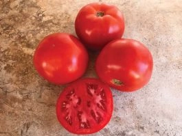tomato-large-slicer